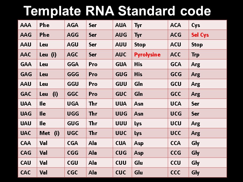 Template RNA Standard code